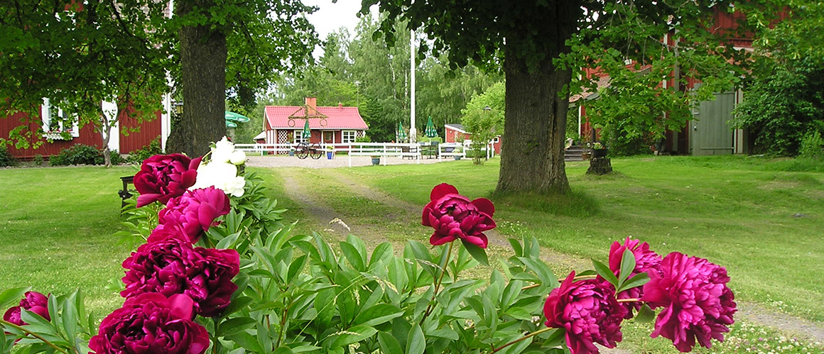 Trädgård - Hotell Sommarhagen